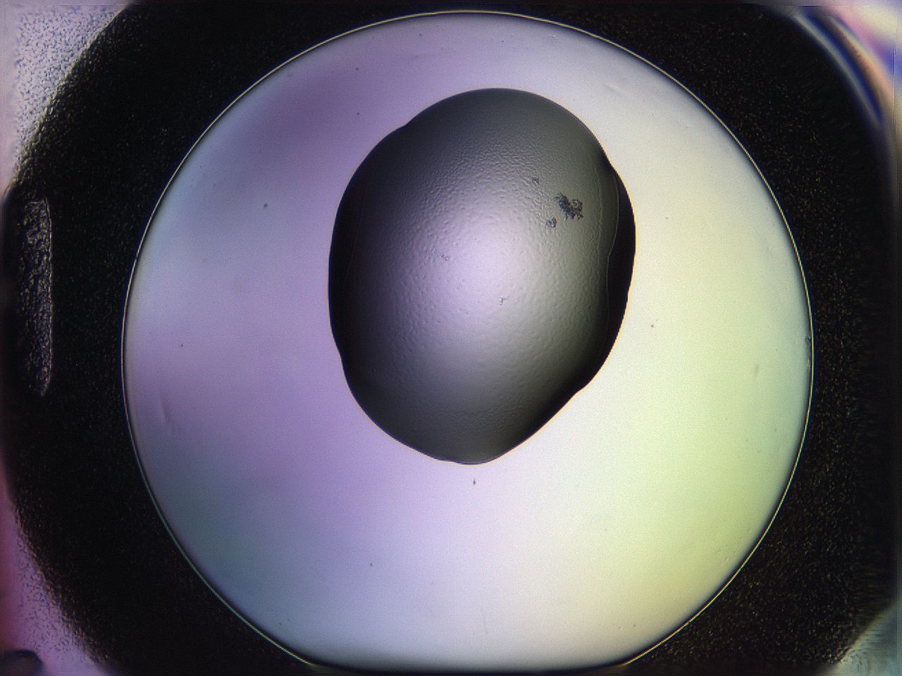 05qi_H7_ImagerDefaults_2.jpg