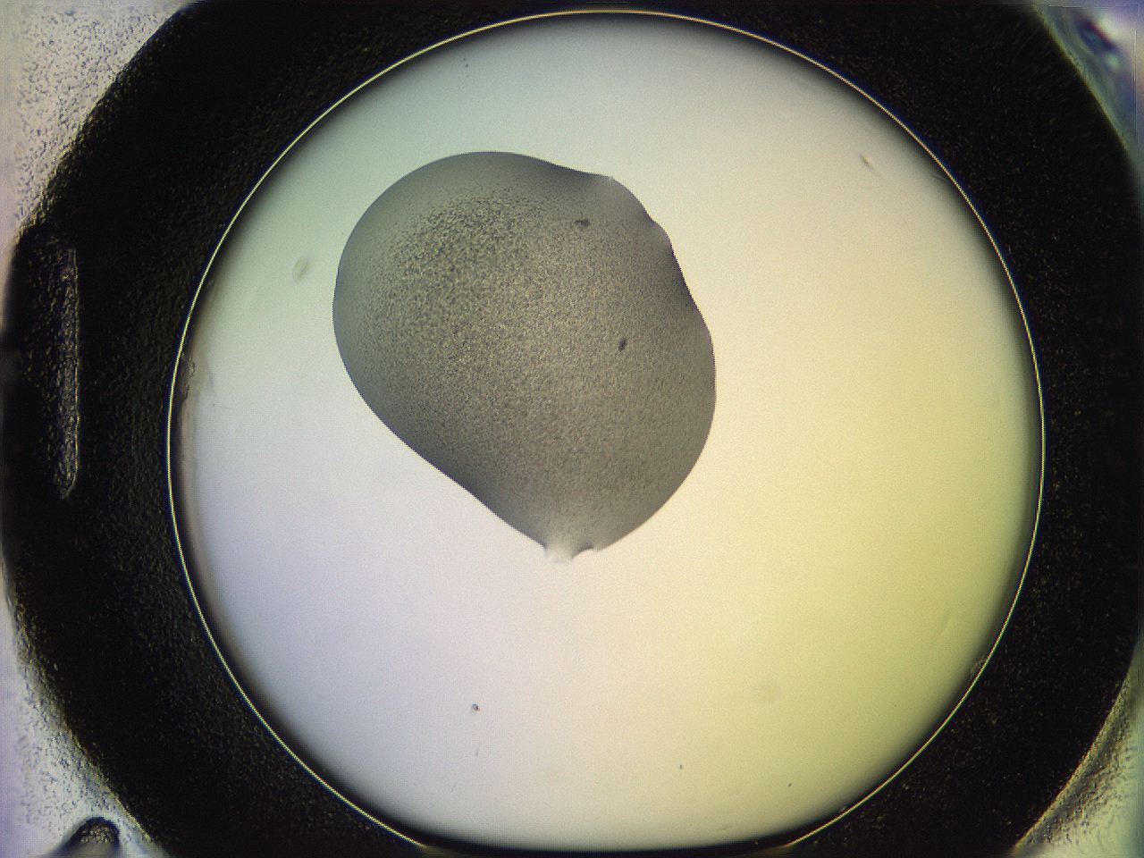 05qi_H11_ImagerDefaults_3.jpg