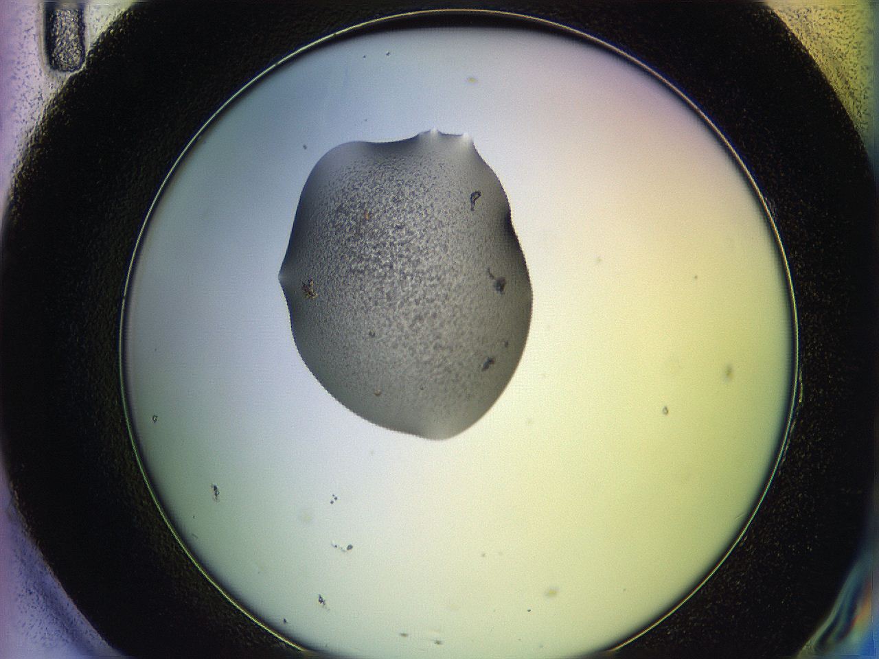 05qi_H11_ImagerDefaults_5.jpg