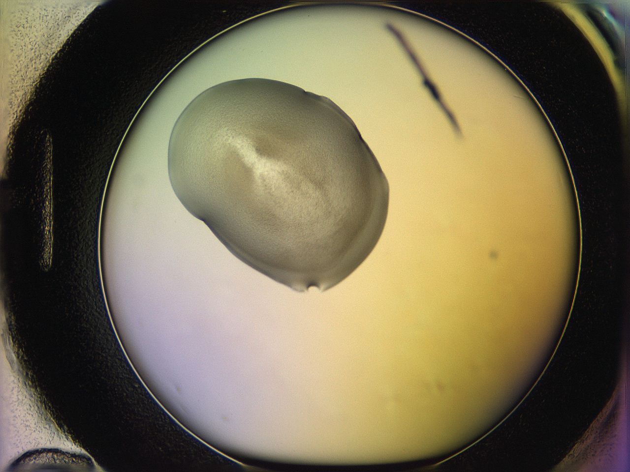 05qi_H12_ImagerDefaults_3.jpg