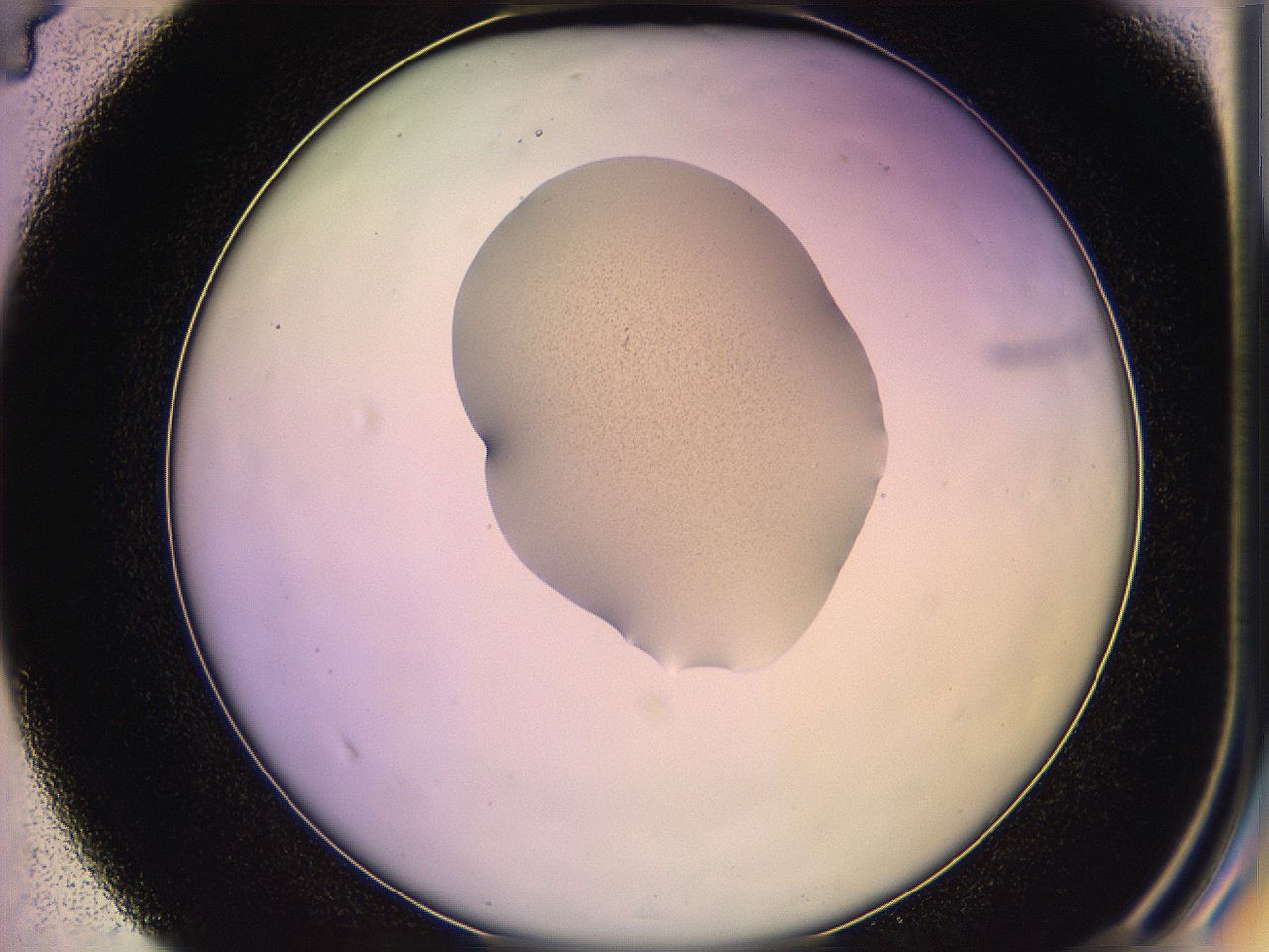05qj_D4_ImagerDefaults_1.jpg