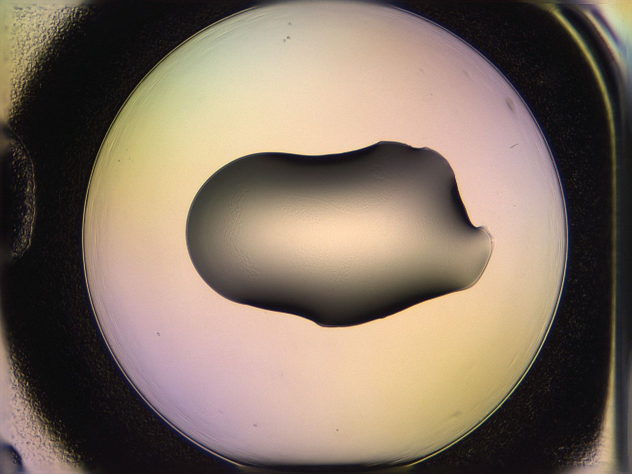 05qj_D3_ImagerDefaults_1.jpg