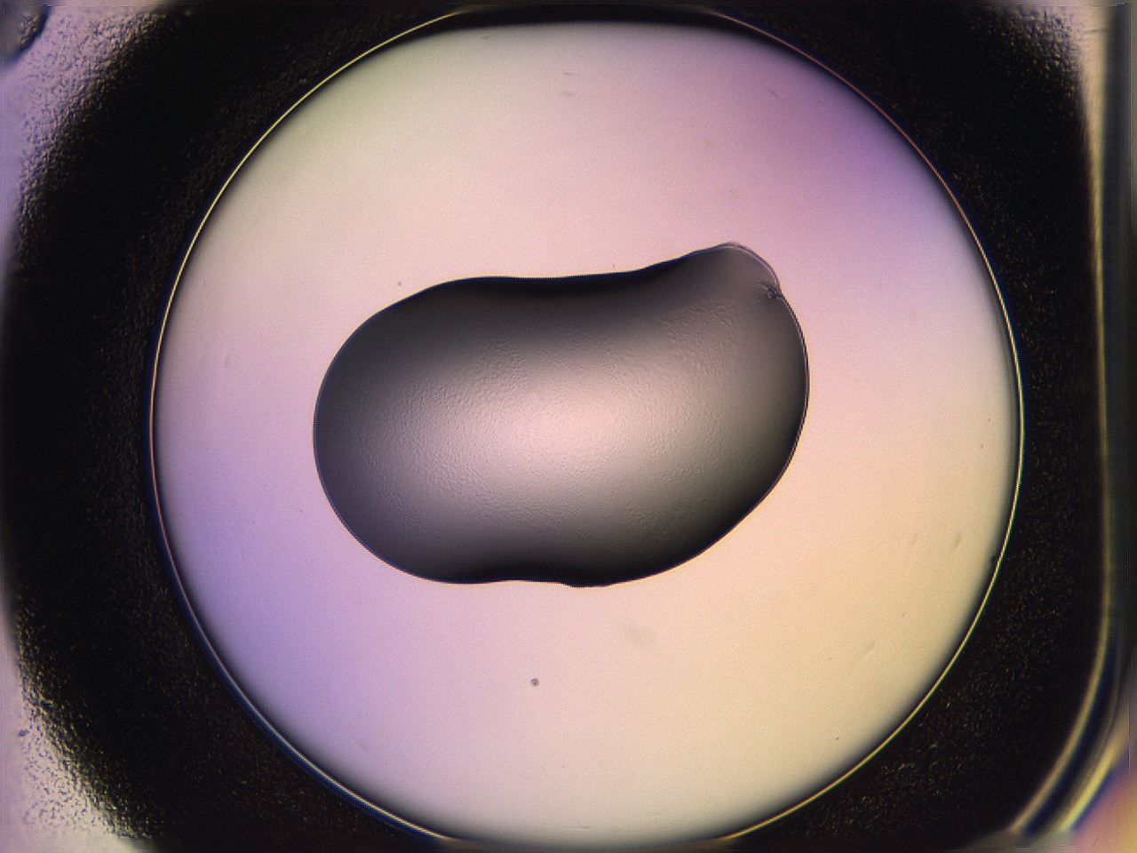 05qj_D3_ImagerDefaults_3.jpg