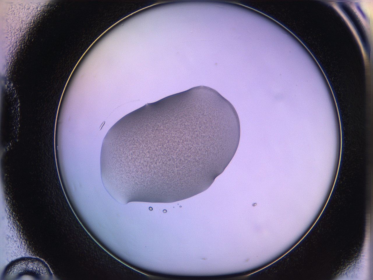 05qj_D10_ImagerDefaults_3.jpg