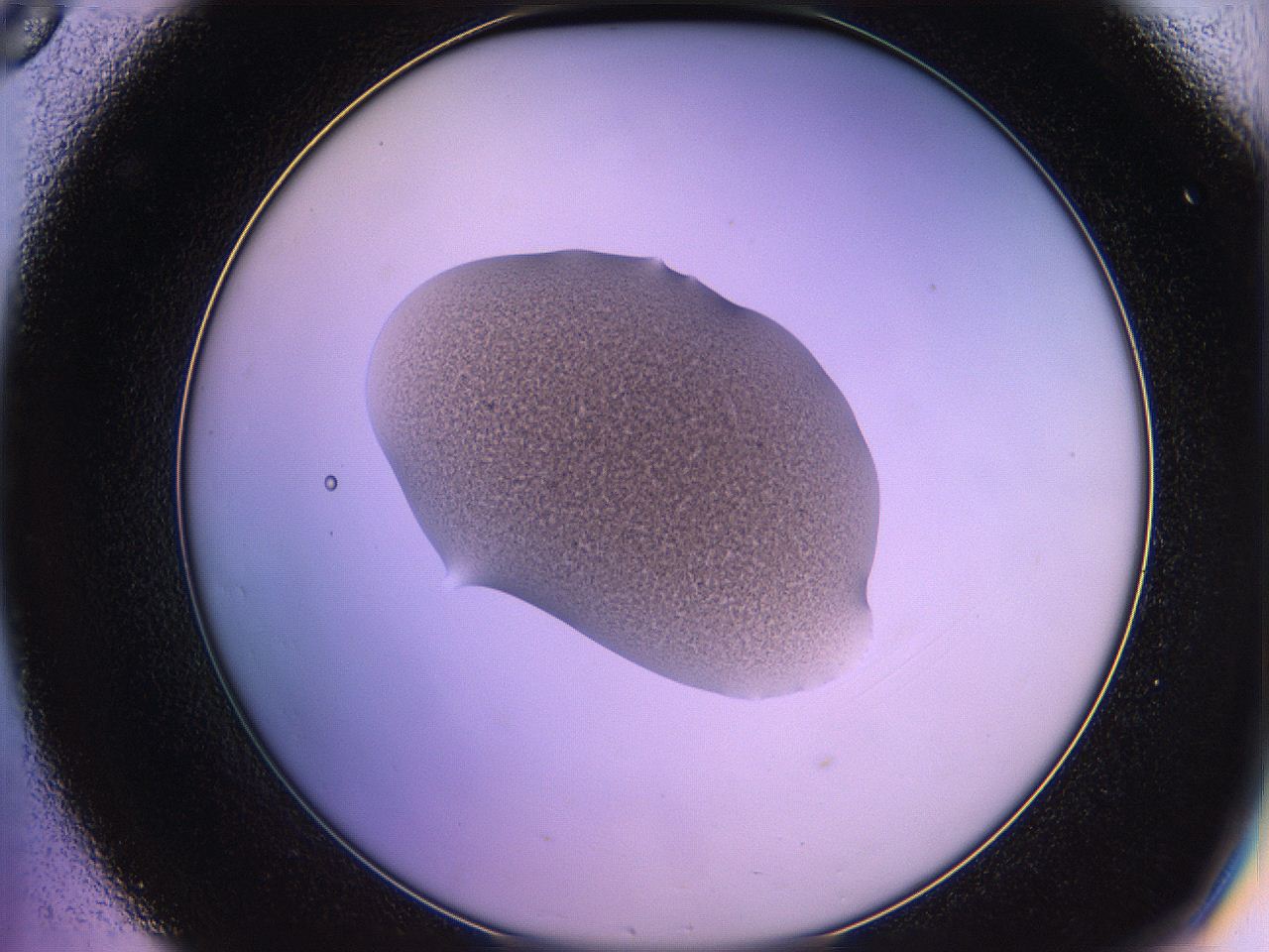 05qj_C8_ImagerDefaults_3.jpg
