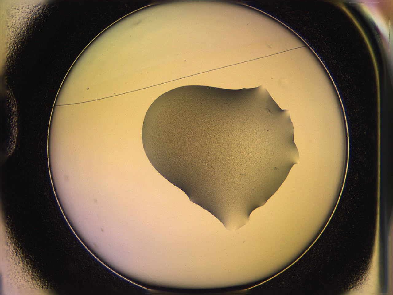 05qj_D1_ImagerDefaults_3.jpg