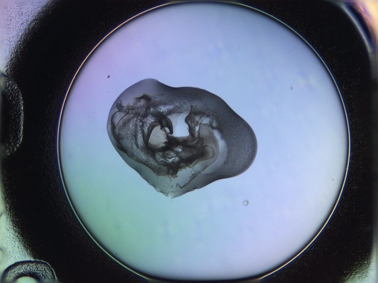 05qj_D12_ImagerDefaults_3.jpg