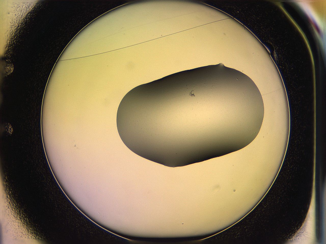 05qj_E1_ImagerDefaults_1.jpg
