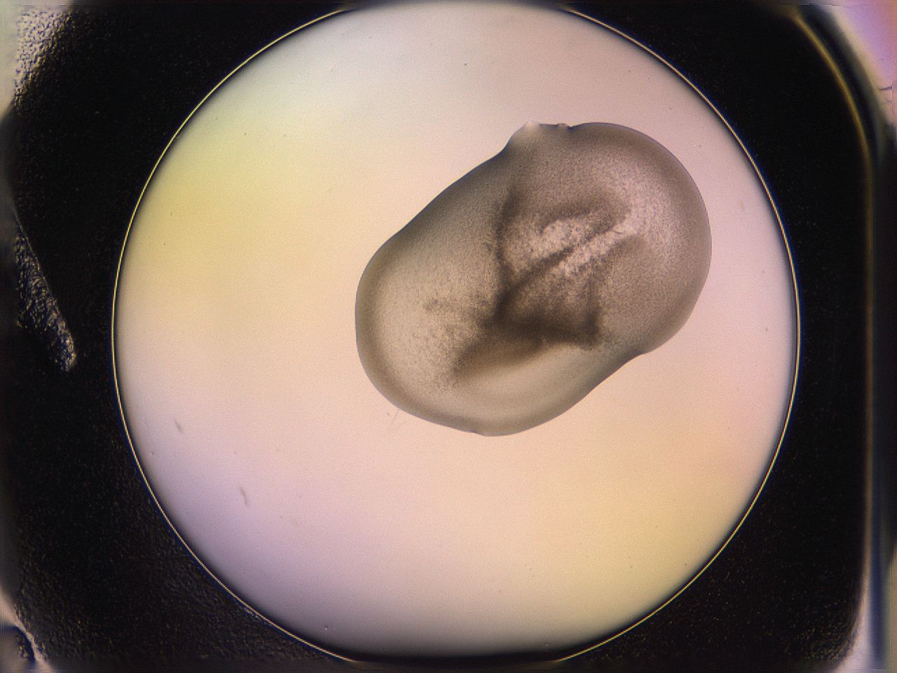 05qj_A2_ImagerDefaults_3.jpg