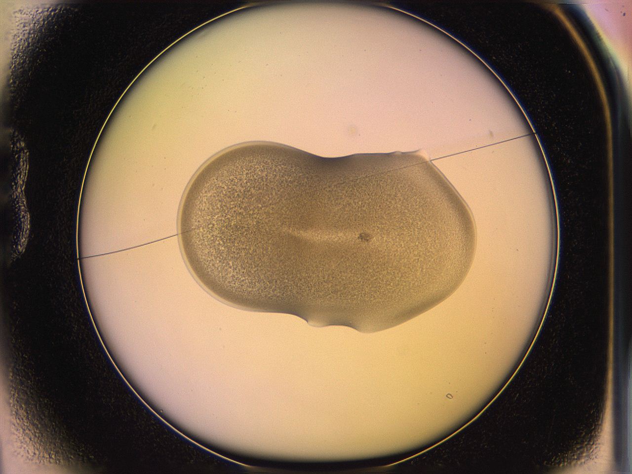 05qj_B1_ImagerDefaults_3.jpg