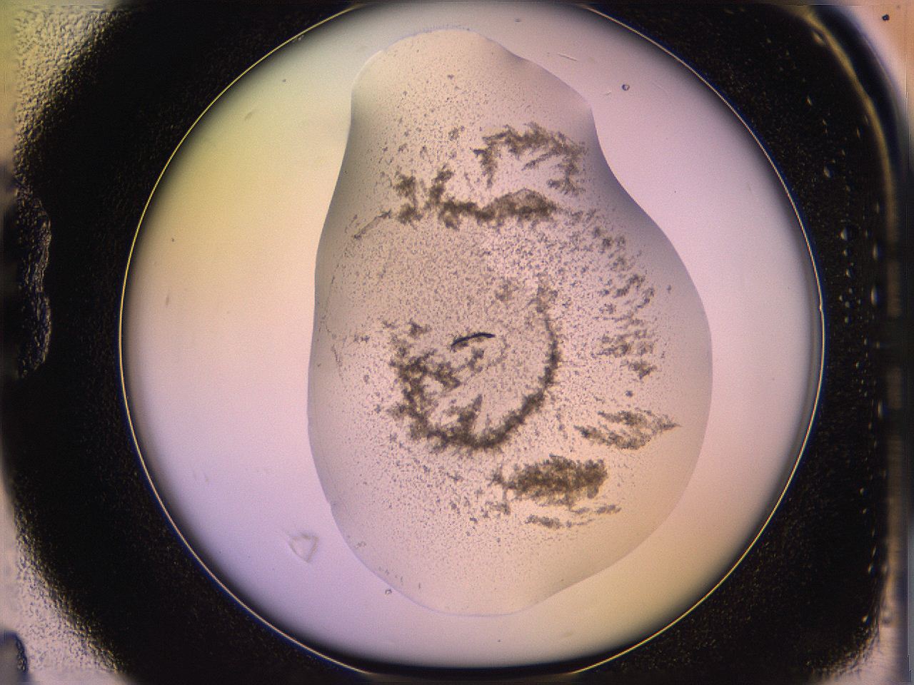 05qj_B4_ImagerDefaults_3.jpg