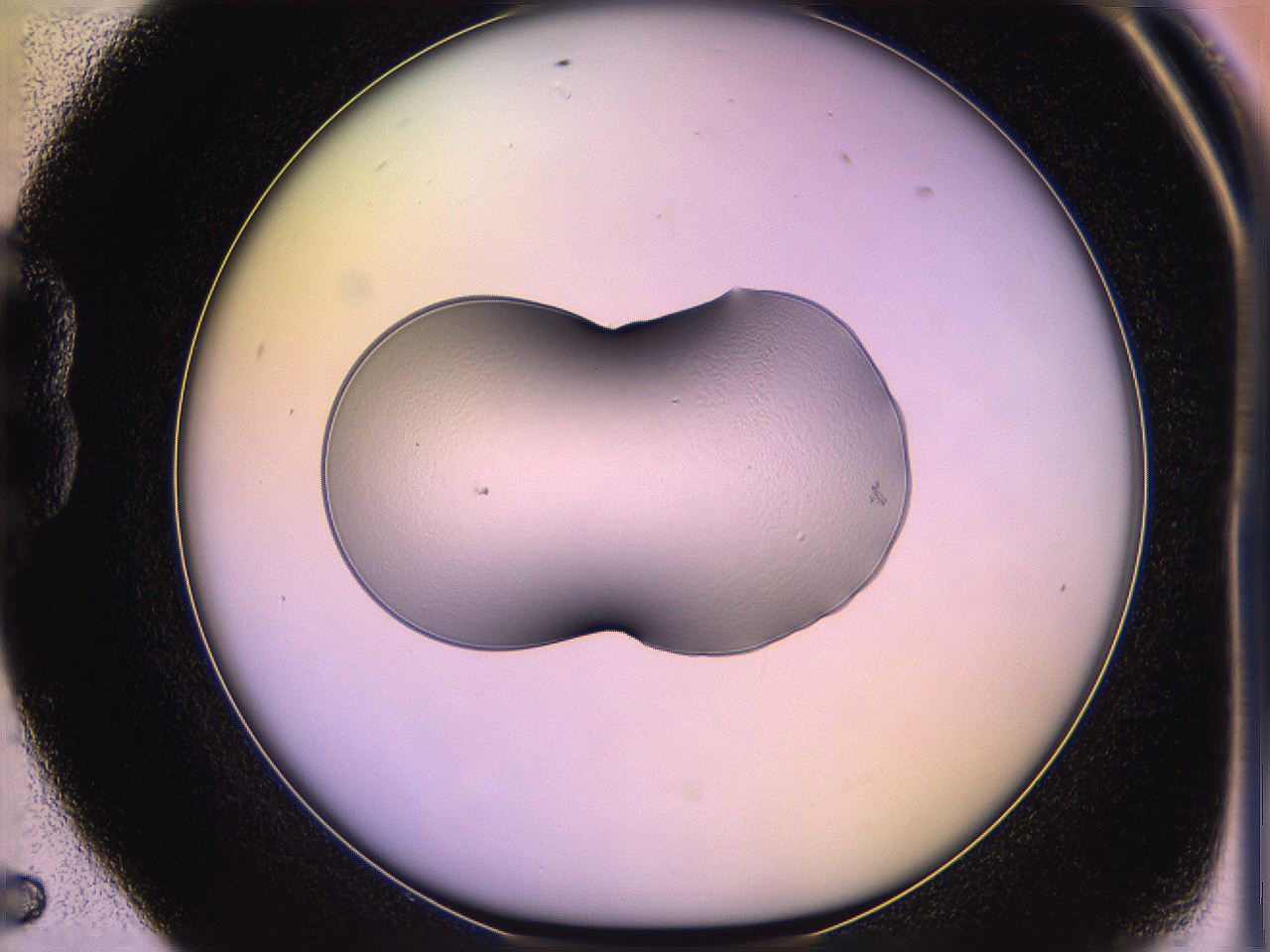 05qj_B5_ImagerDefaults_2.jpg