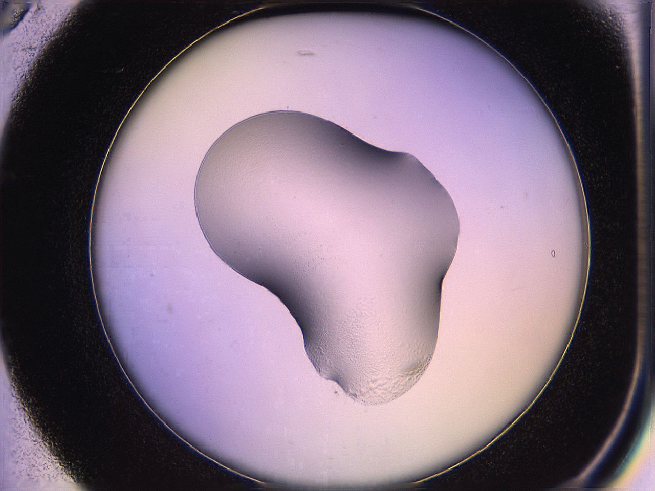 05qj_B5_ImagerDefaults_1.jpg