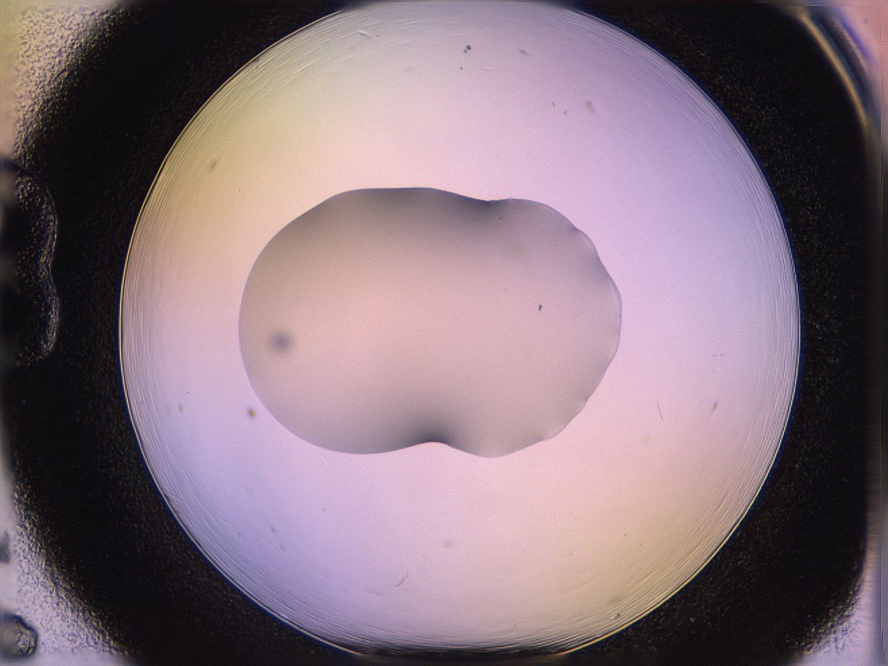 05qj_B6_ImagerDefaults_1.jpg