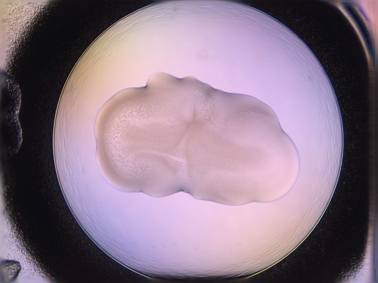 05qj_B7_ImagerDefaults_3.jpg