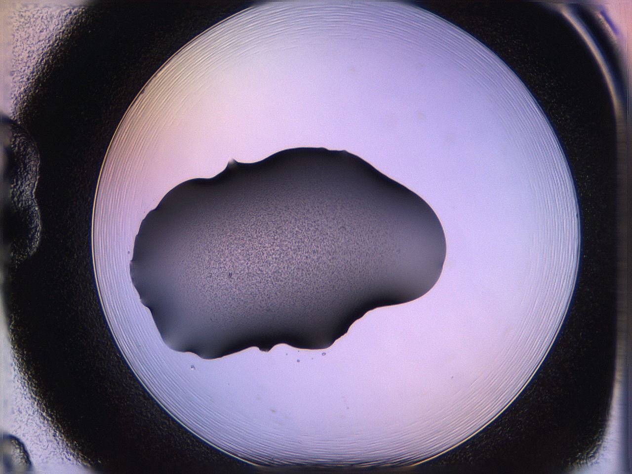 05qj_B8_ImagerDefaults_3.jpg
