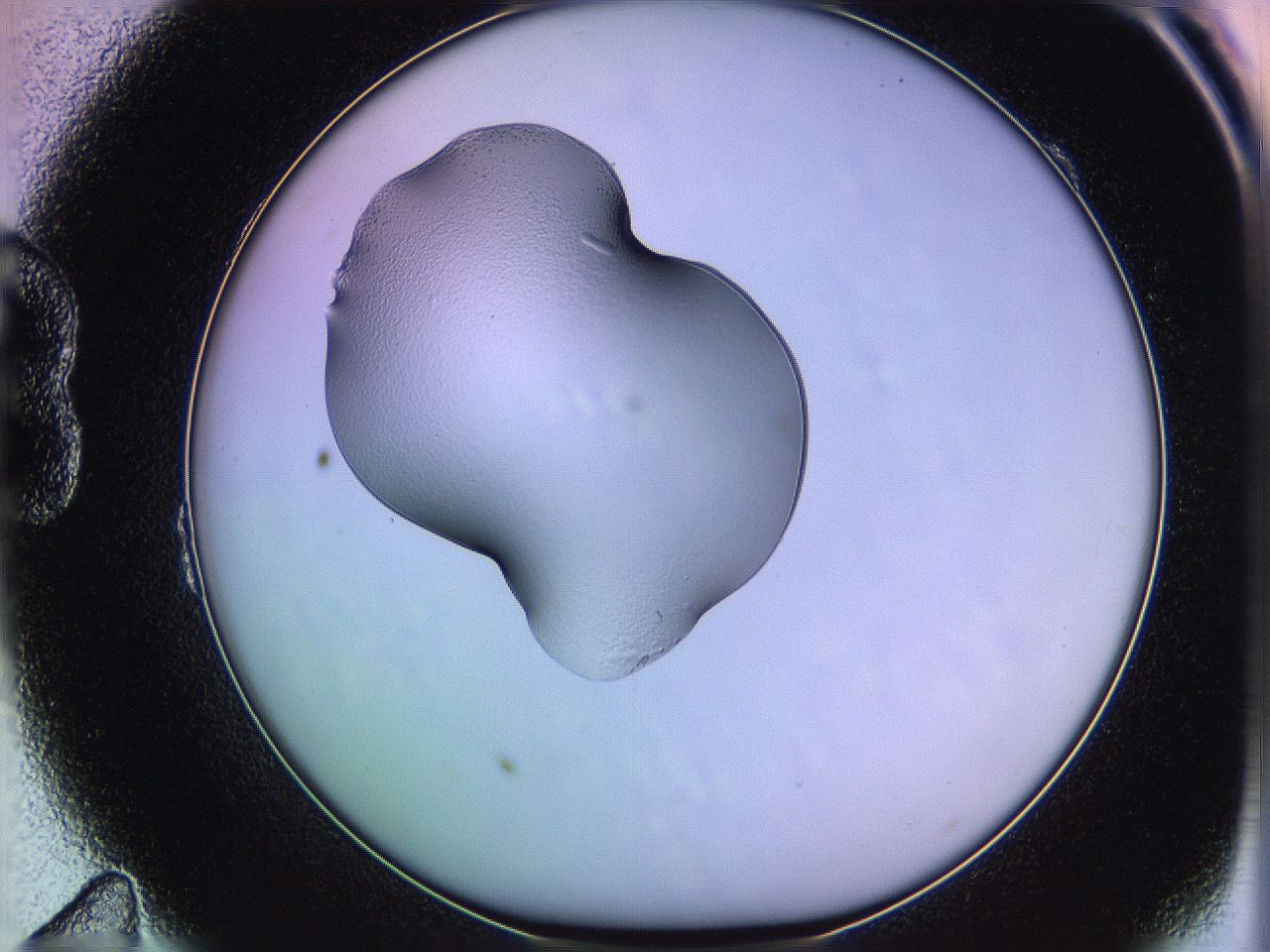 05qj_B11_ImagerDefaults_2.jpg