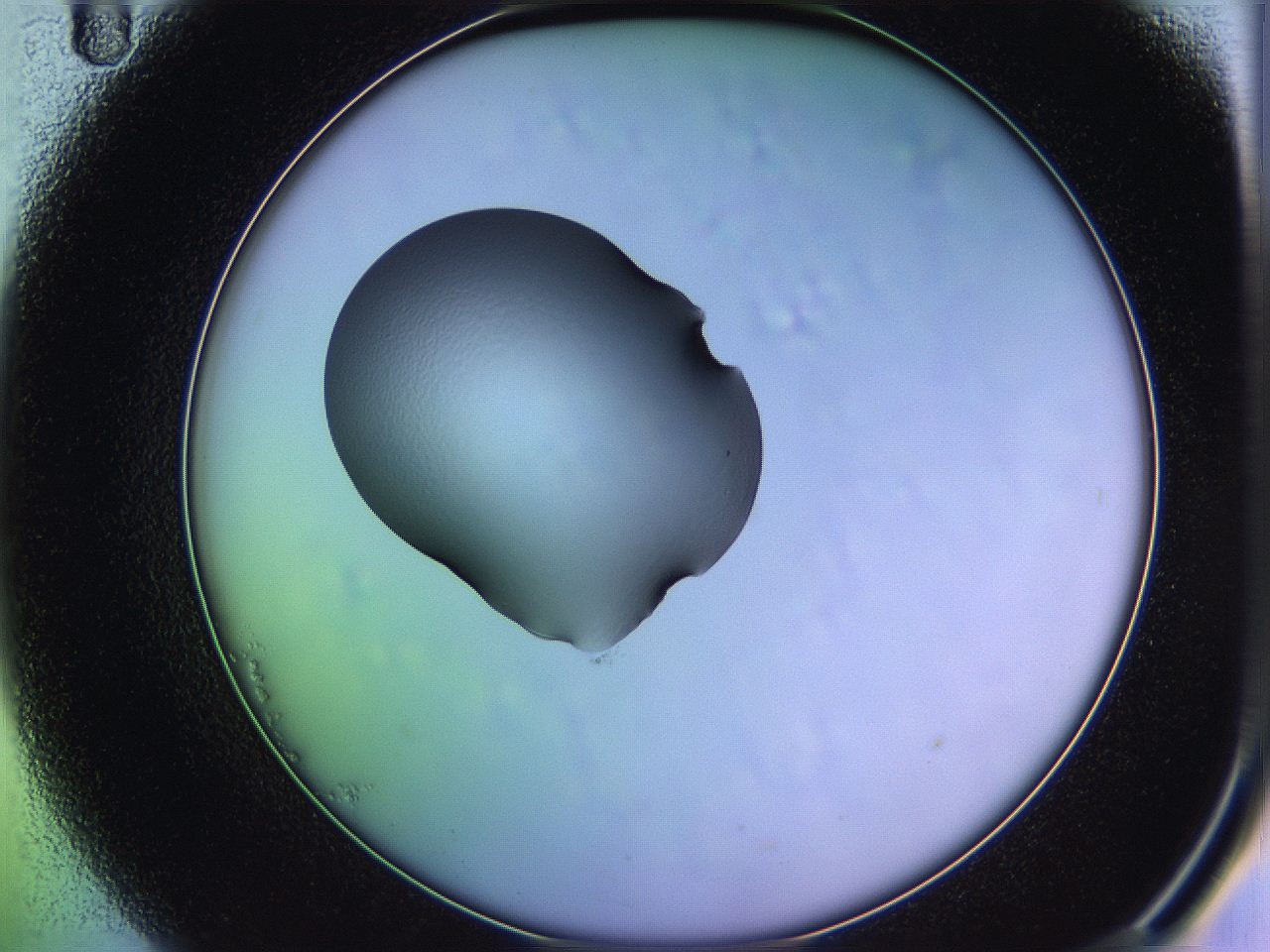05qj_B11_ImagerDefaults_1.jpg