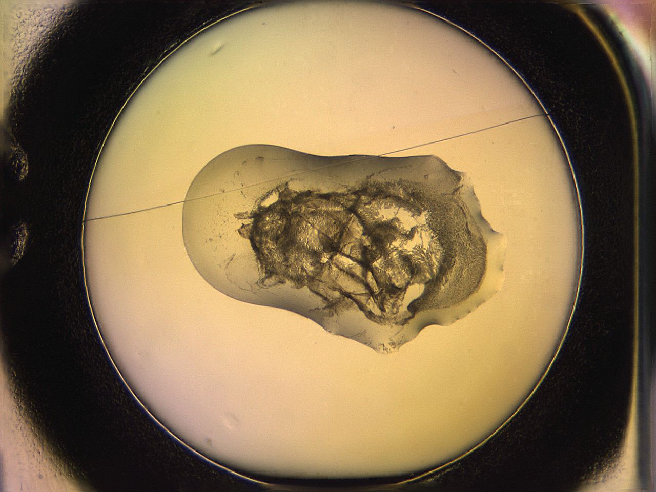 05qj_C1_ImagerDefaults_3.jpg
