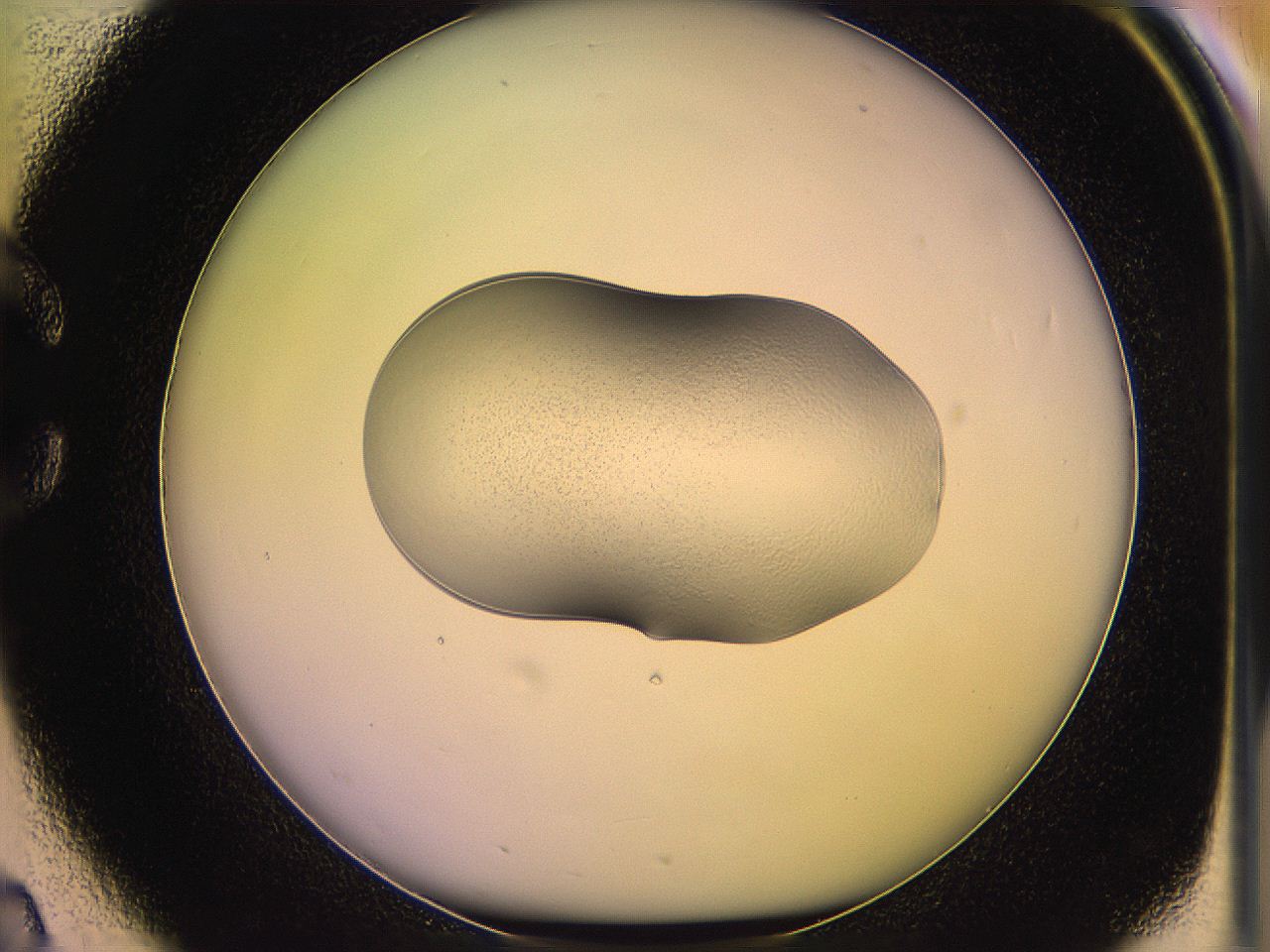 05qj_C2_ImagerDefaults_2.jpg