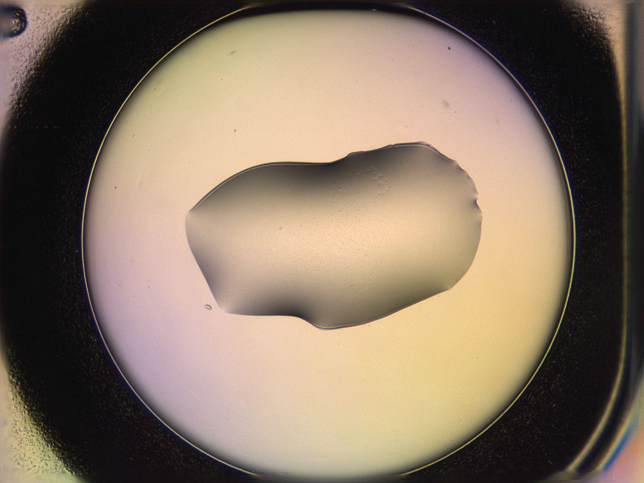 05qj_C2_ImagerDefaults_1.jpg