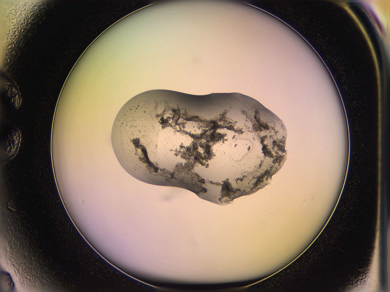 05qj_C3_ImagerDefaults_3.jpg