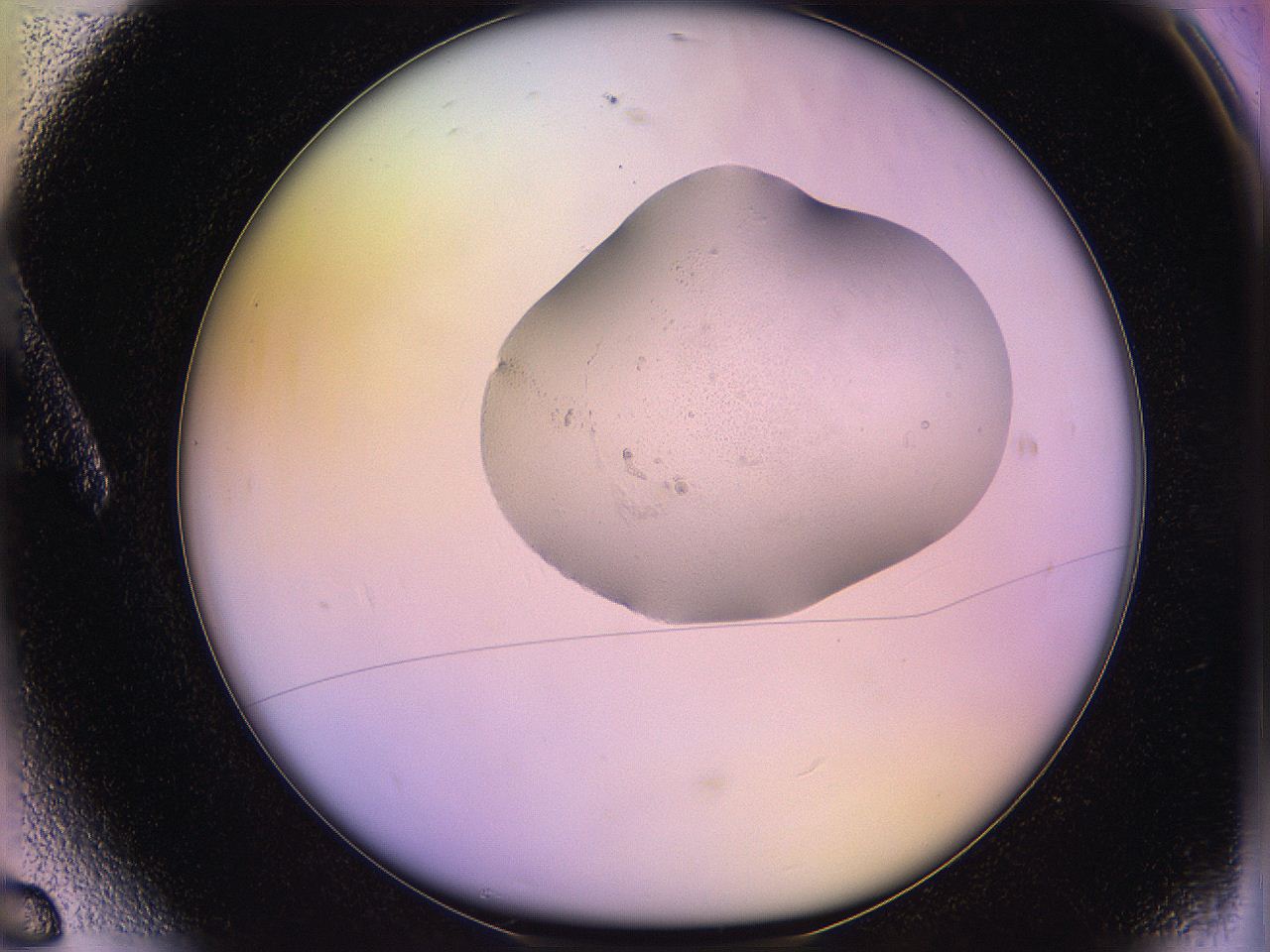 05qj_A6_ImagerDefaults_2.jpg