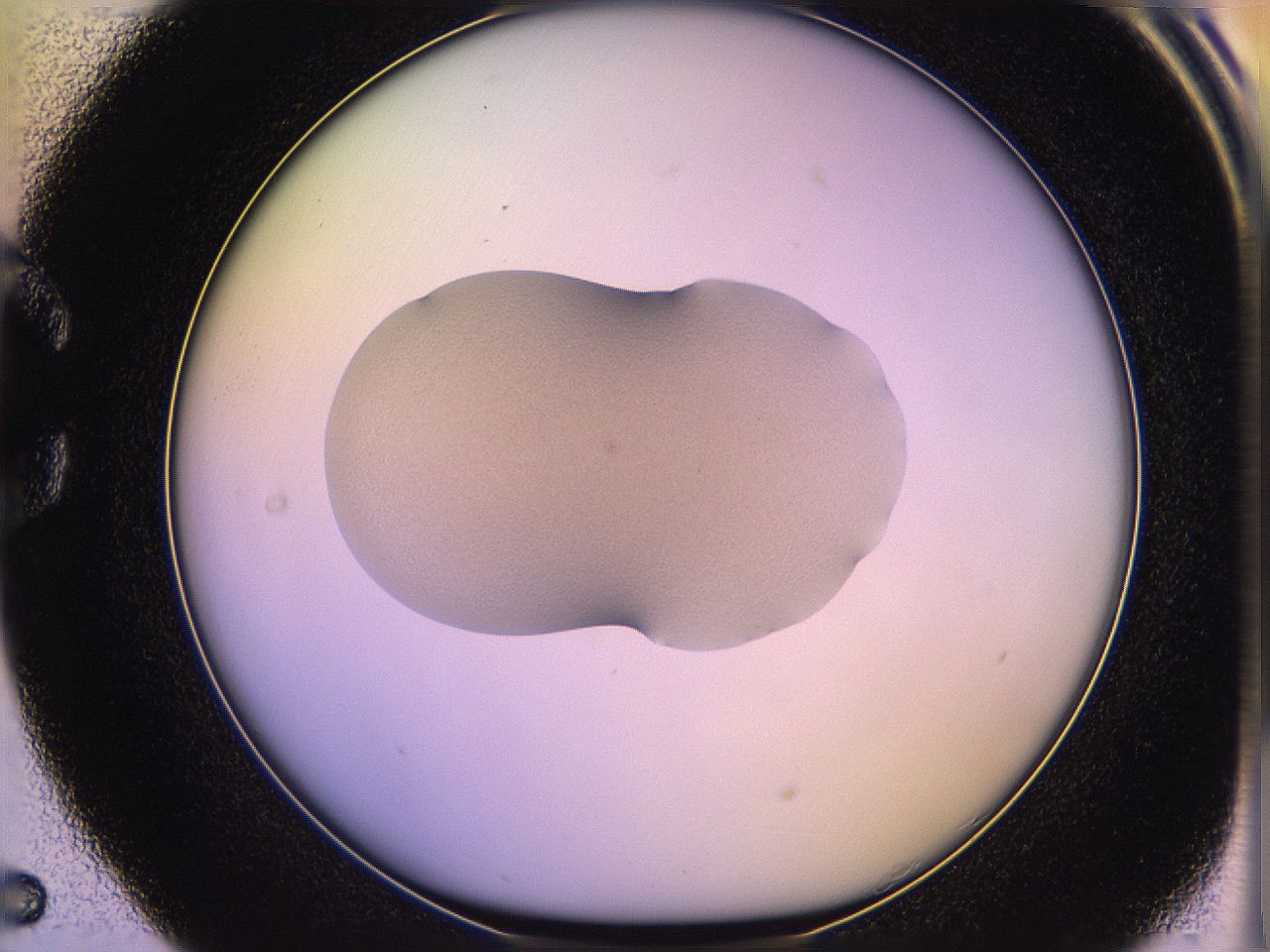 05qj_C5_ImagerDefaults_3.jpg