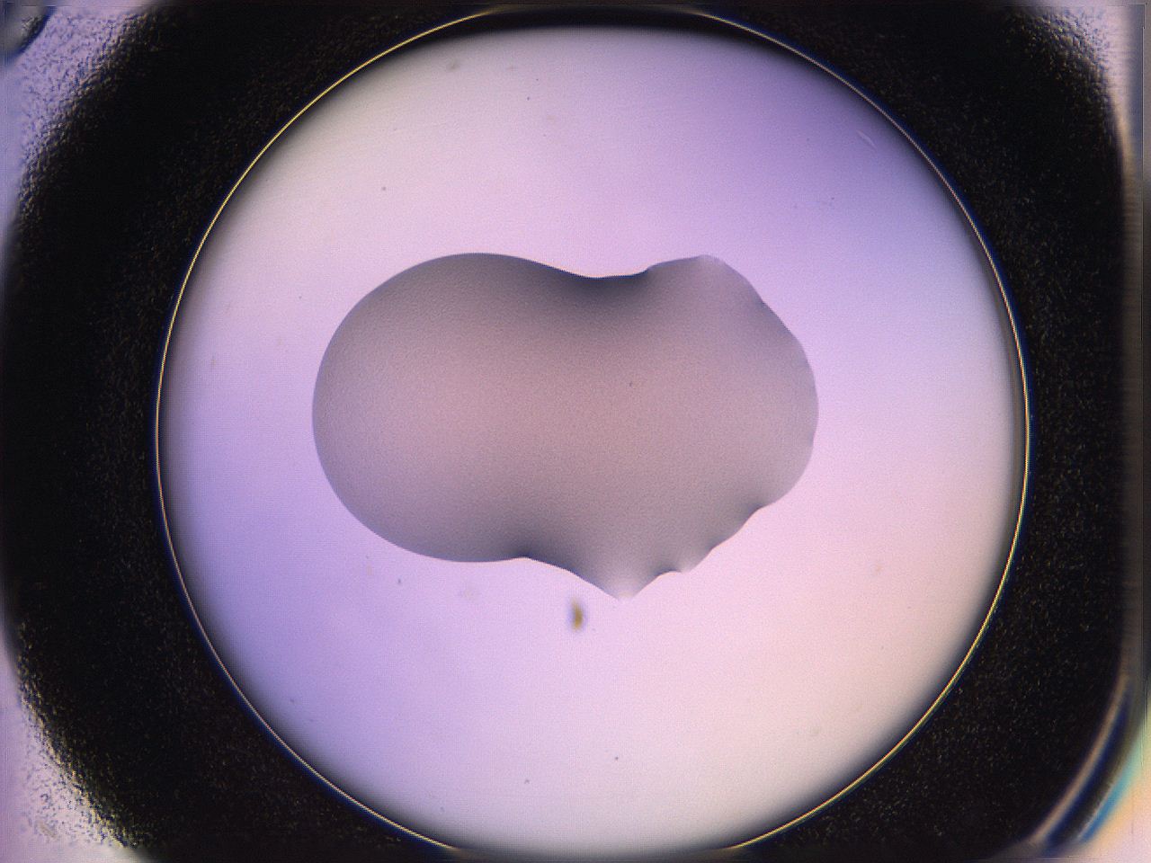05qj_C5_ImagerDefaults_1.jpg