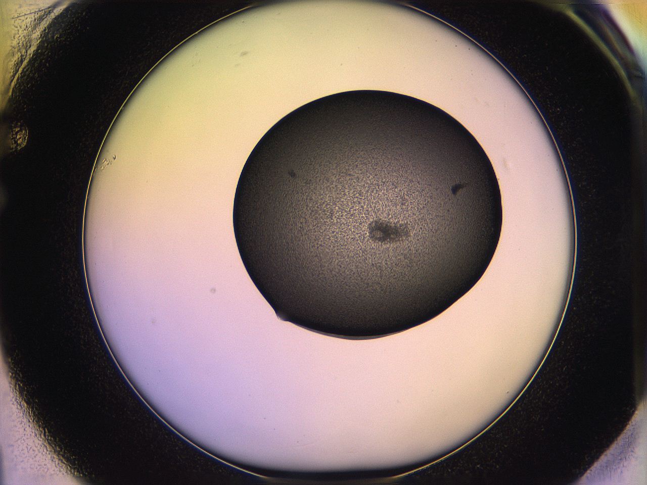 05qj_F1_ImagerDefaults_3.jpg