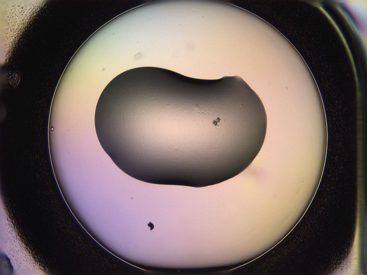 05qj_F3_ImagerDefaults_1.jpg