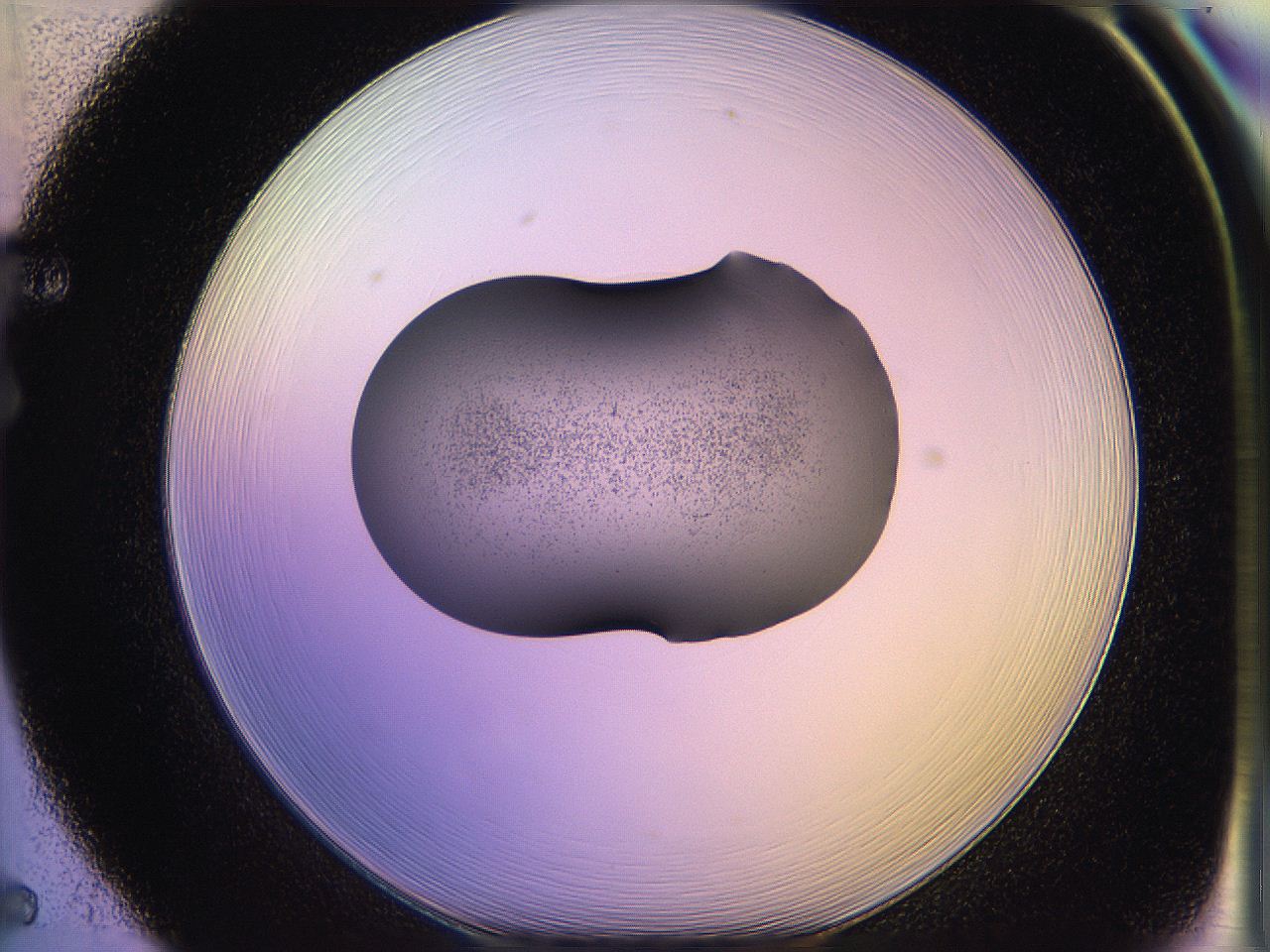 05qj_F5_ImagerDefaults_3.jpg