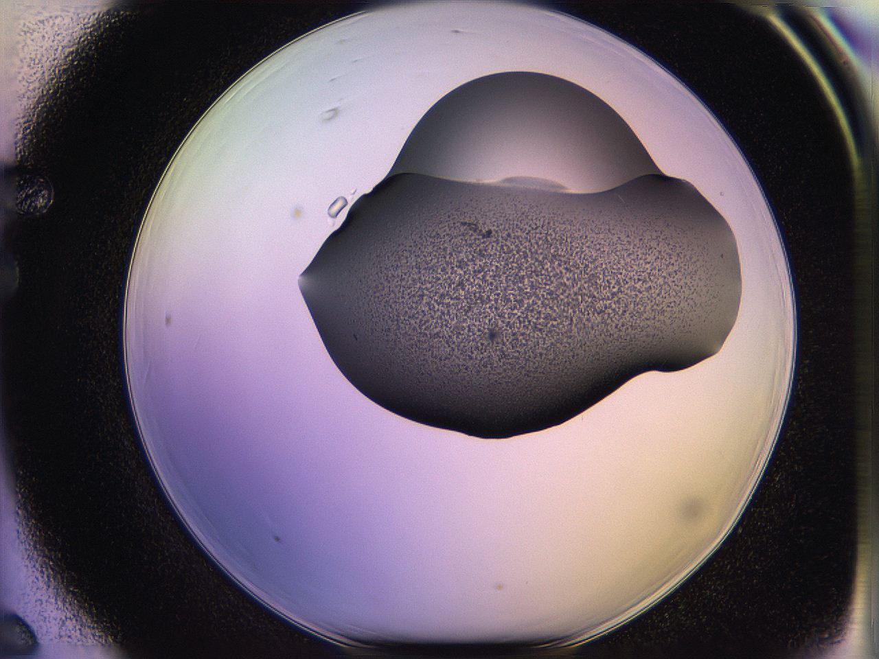 05qj_F6_ImagerDefaults_3.jpg