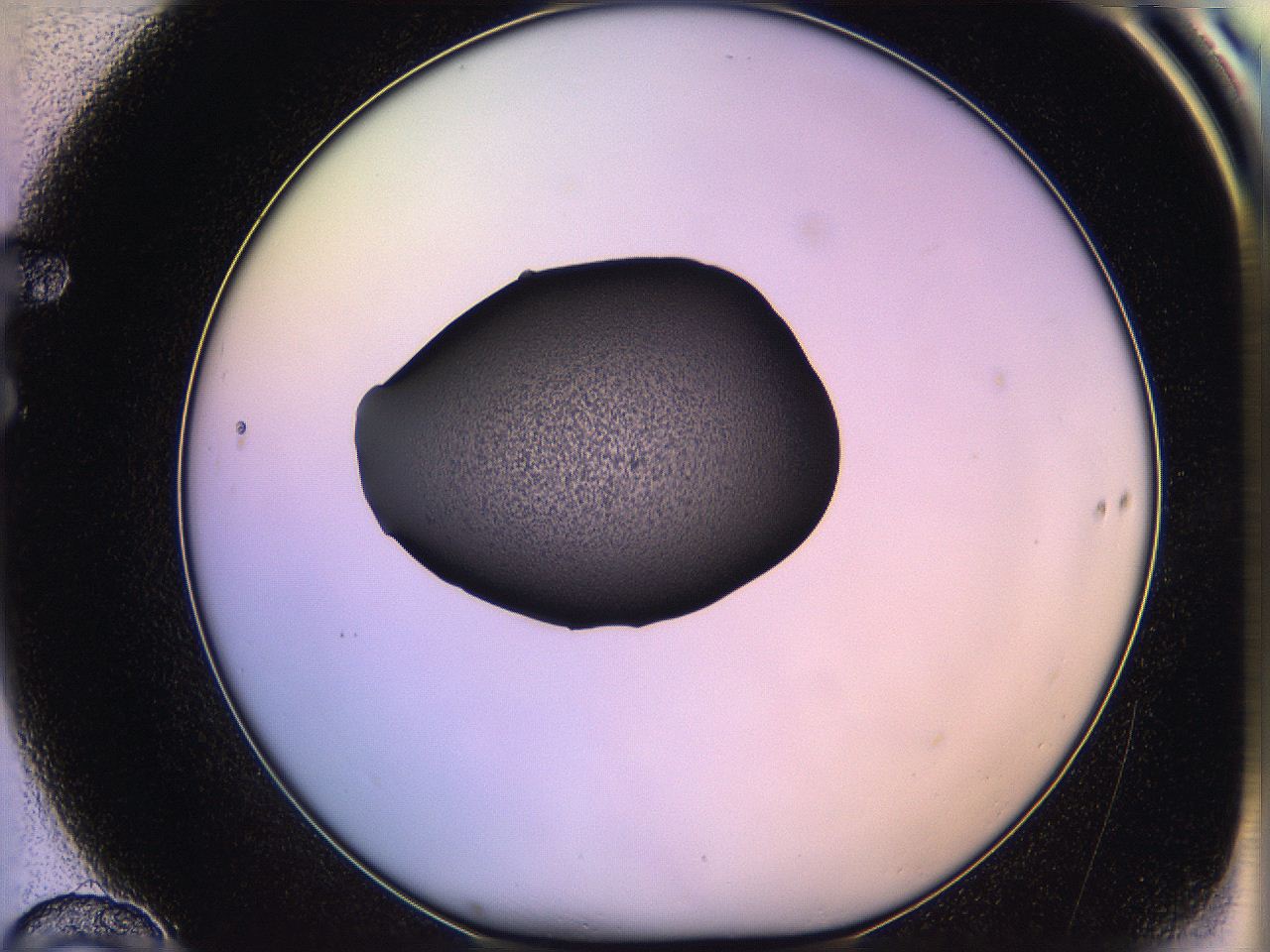 05qj_F10_ImagerDefaults_3.jpg
