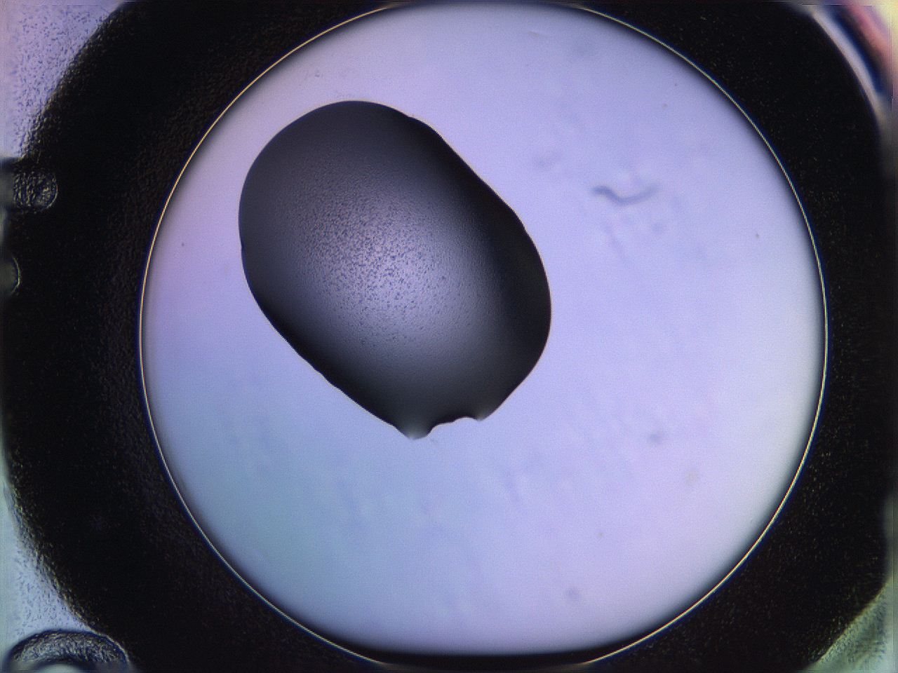 05qj_F12_ImagerDefaults_3.jpg