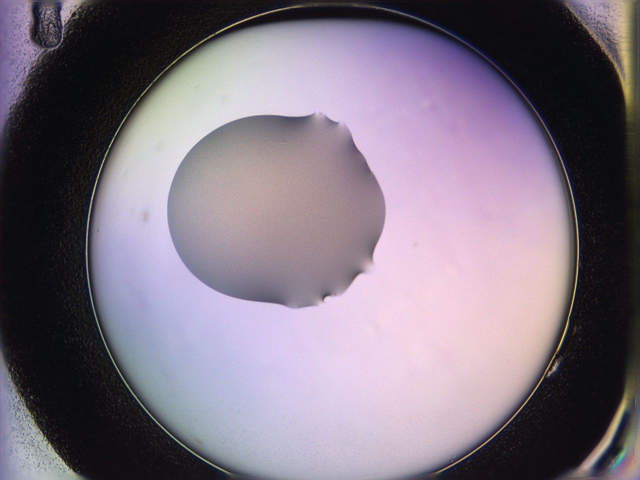 05qj_G11_ImagerDefaults_2.jpg
