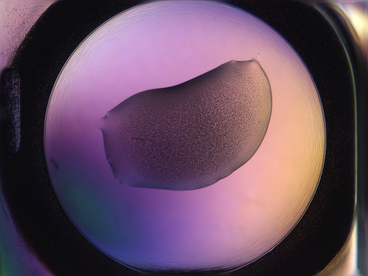 05qj_H1_ImagerDefaults_3.jpg