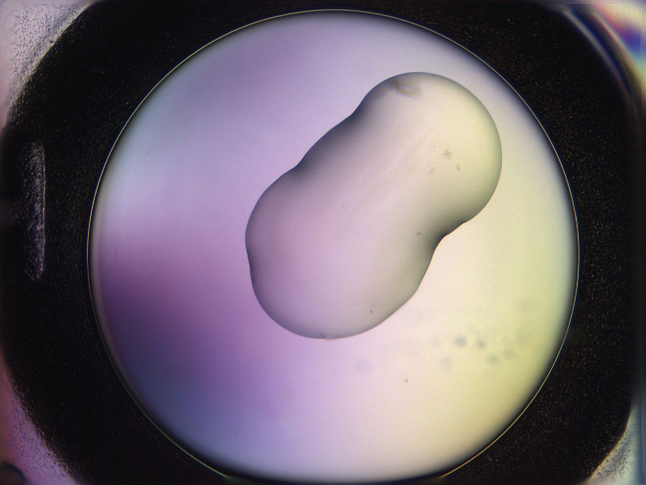 05qj_H6_ImagerDefaults_1.jpg