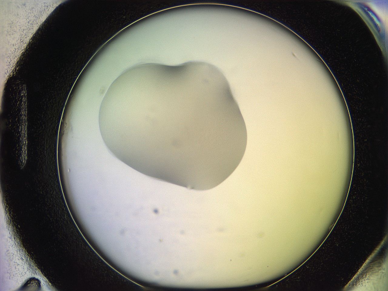 05qj_H11_ImagerDefaults_1.jpg