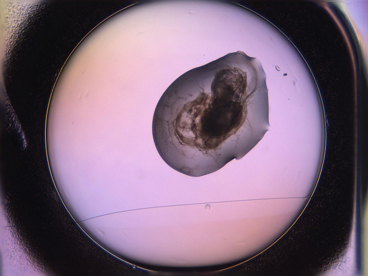 05qk_A1_ImagerDefaults_3.jpg