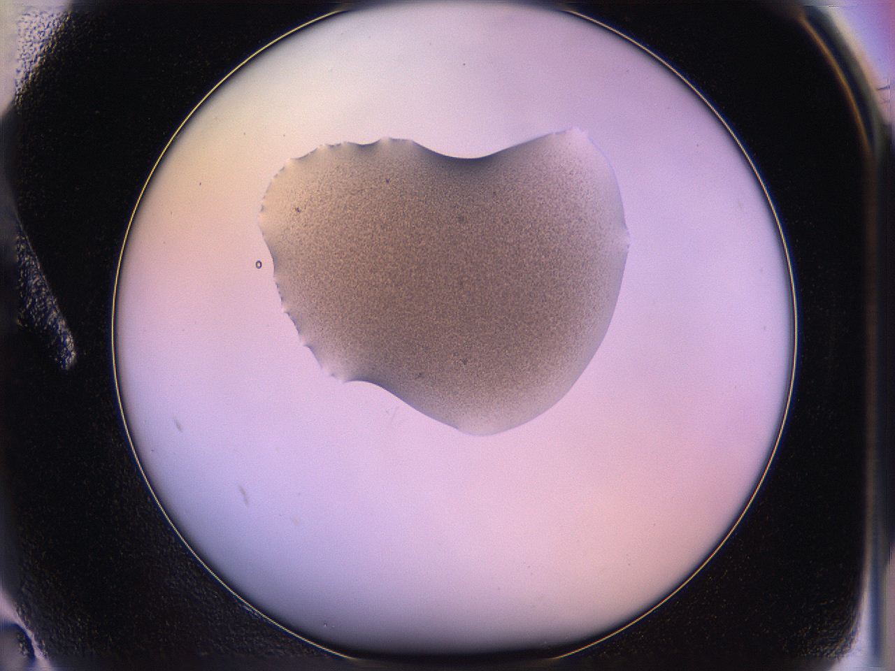 05qk_A2_ImagerDefaults_3.jpg