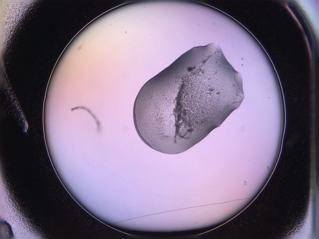 05qk_A3_ImagerDefaults_3.jpg