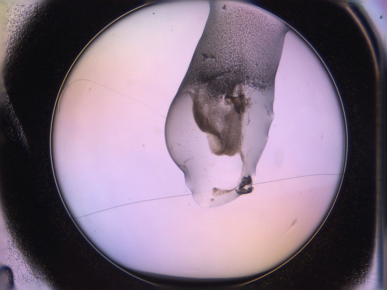 05qk_A4_ImagerDefaults_3.jpg