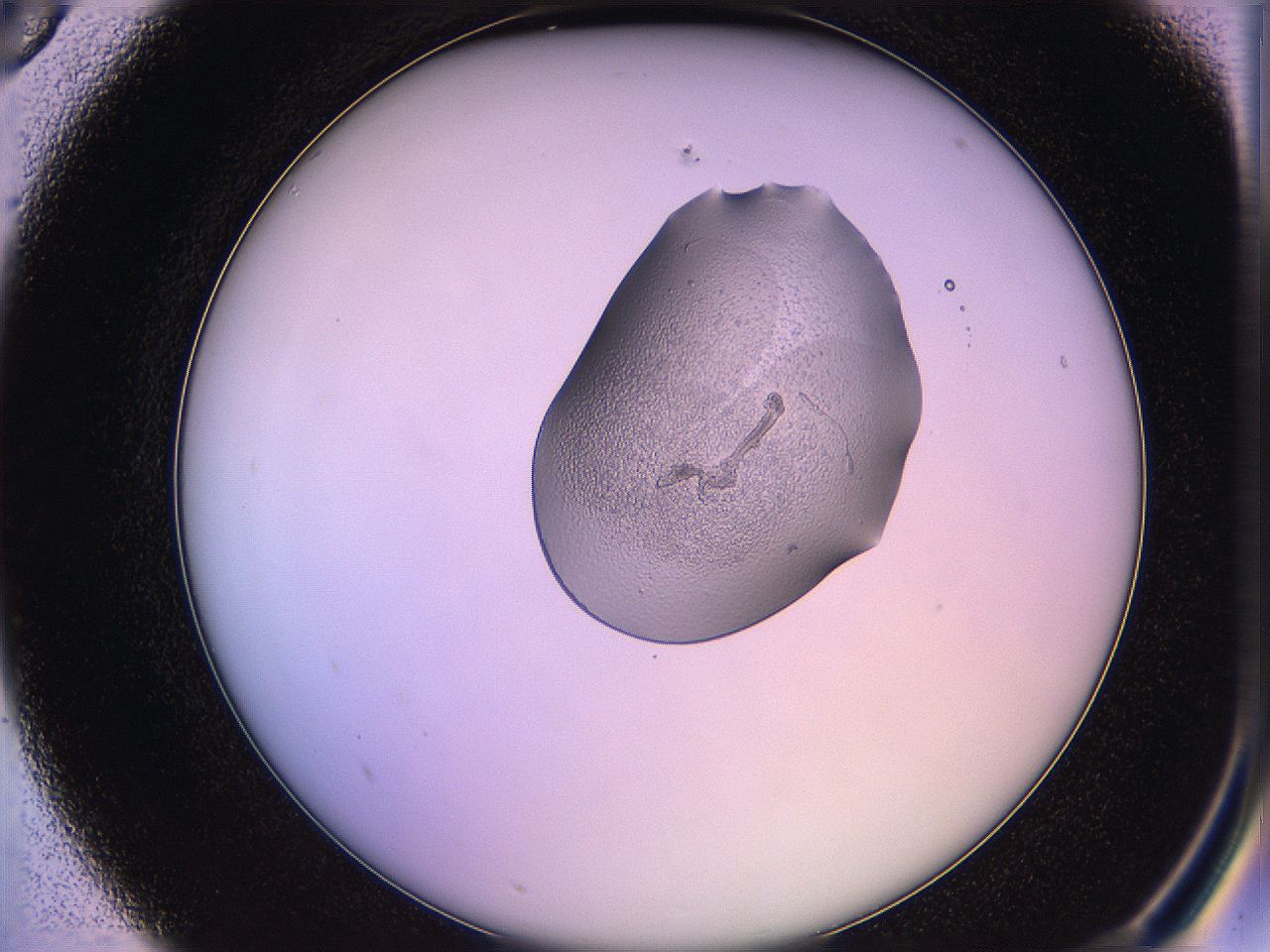 05qk_A5_ImagerDefaults_3.jpg