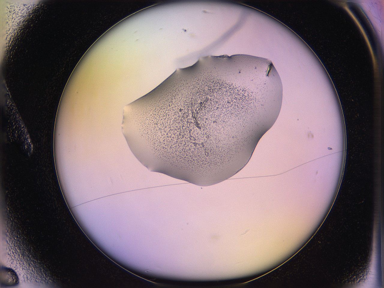 05qk_A6_ImagerDefaults_3.jpg