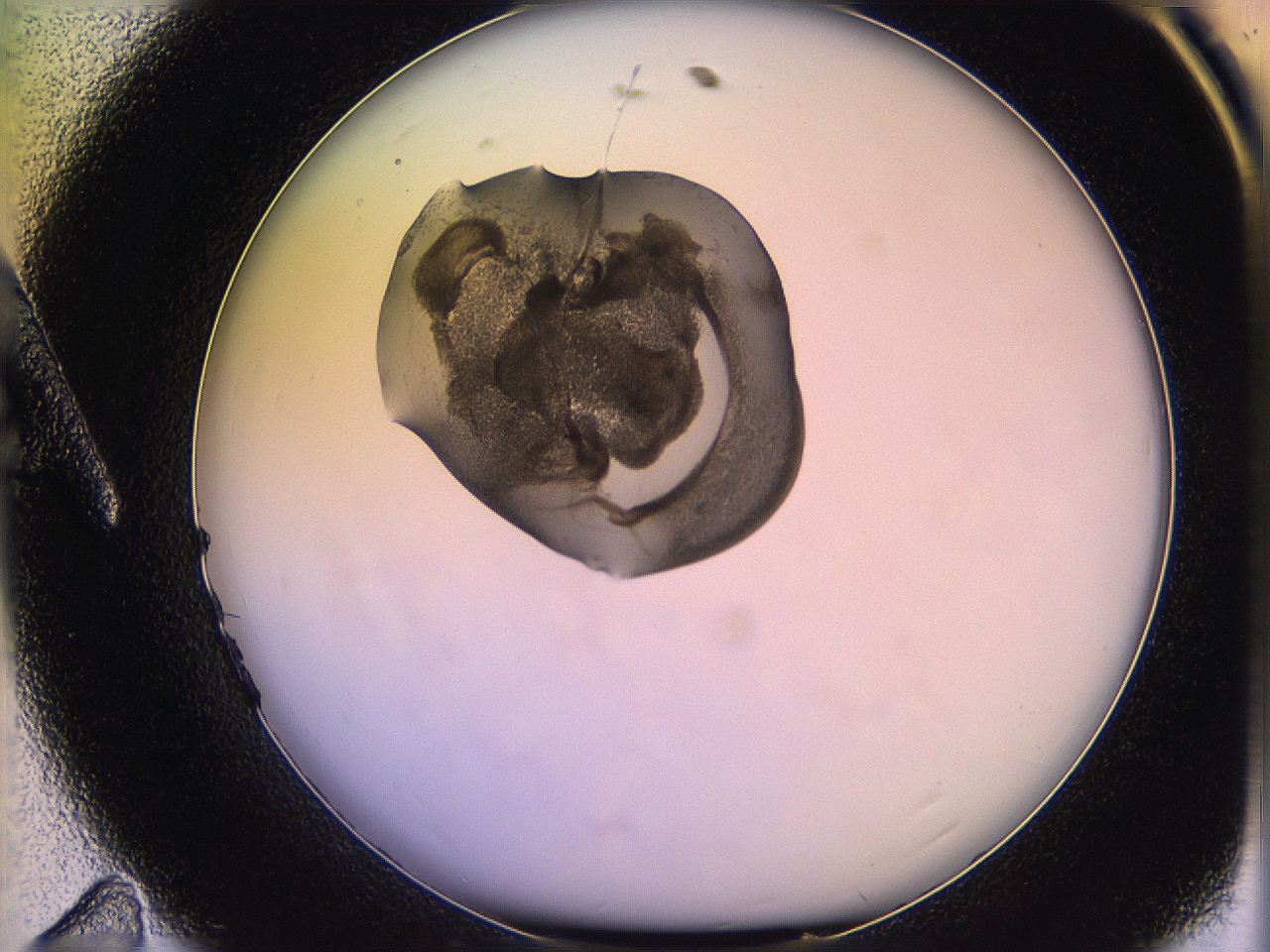 05qk_A11_ImagerDefaults_3.jpg