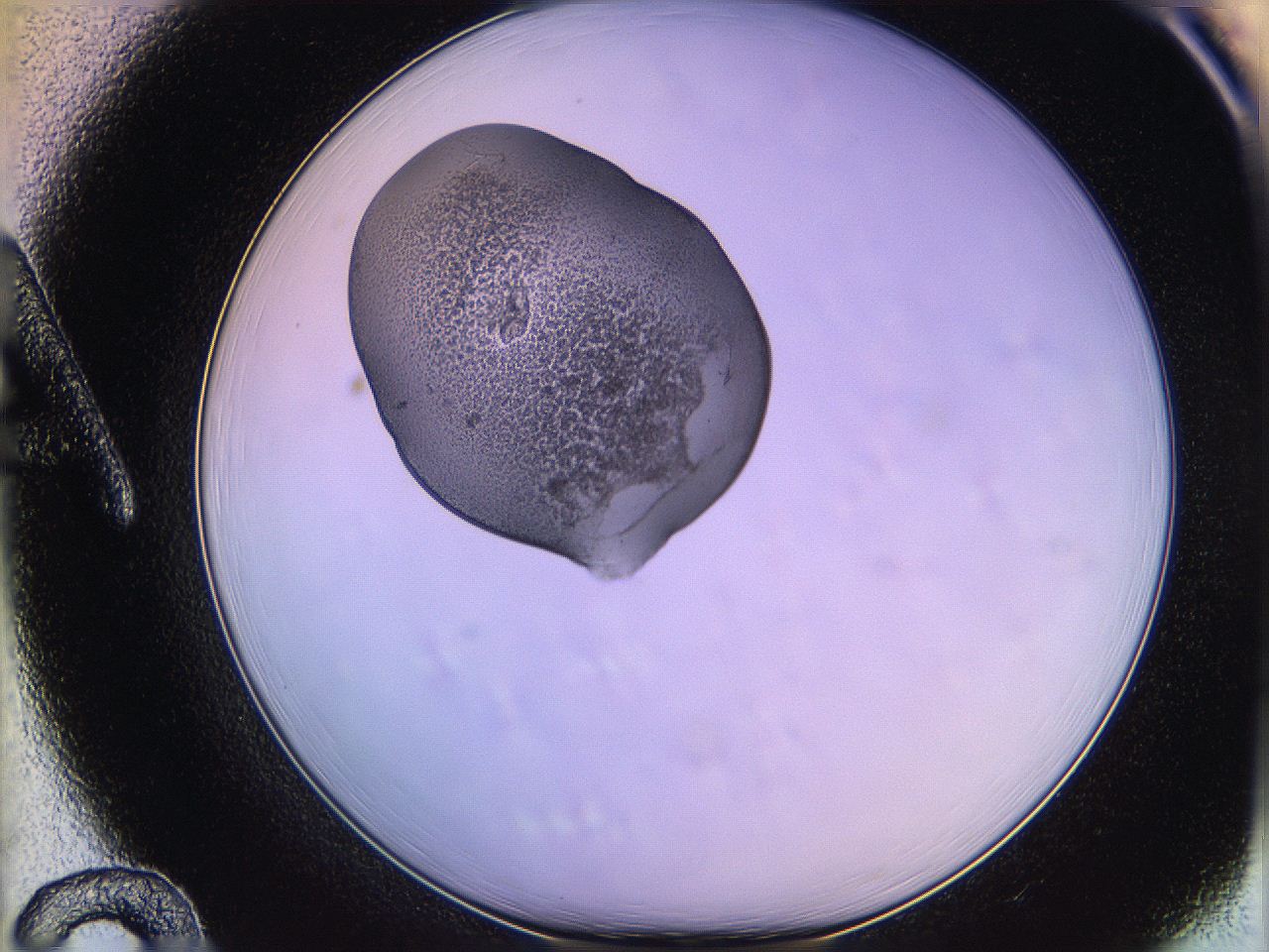 05qk_A12_ImagerDefaults_3.jpg