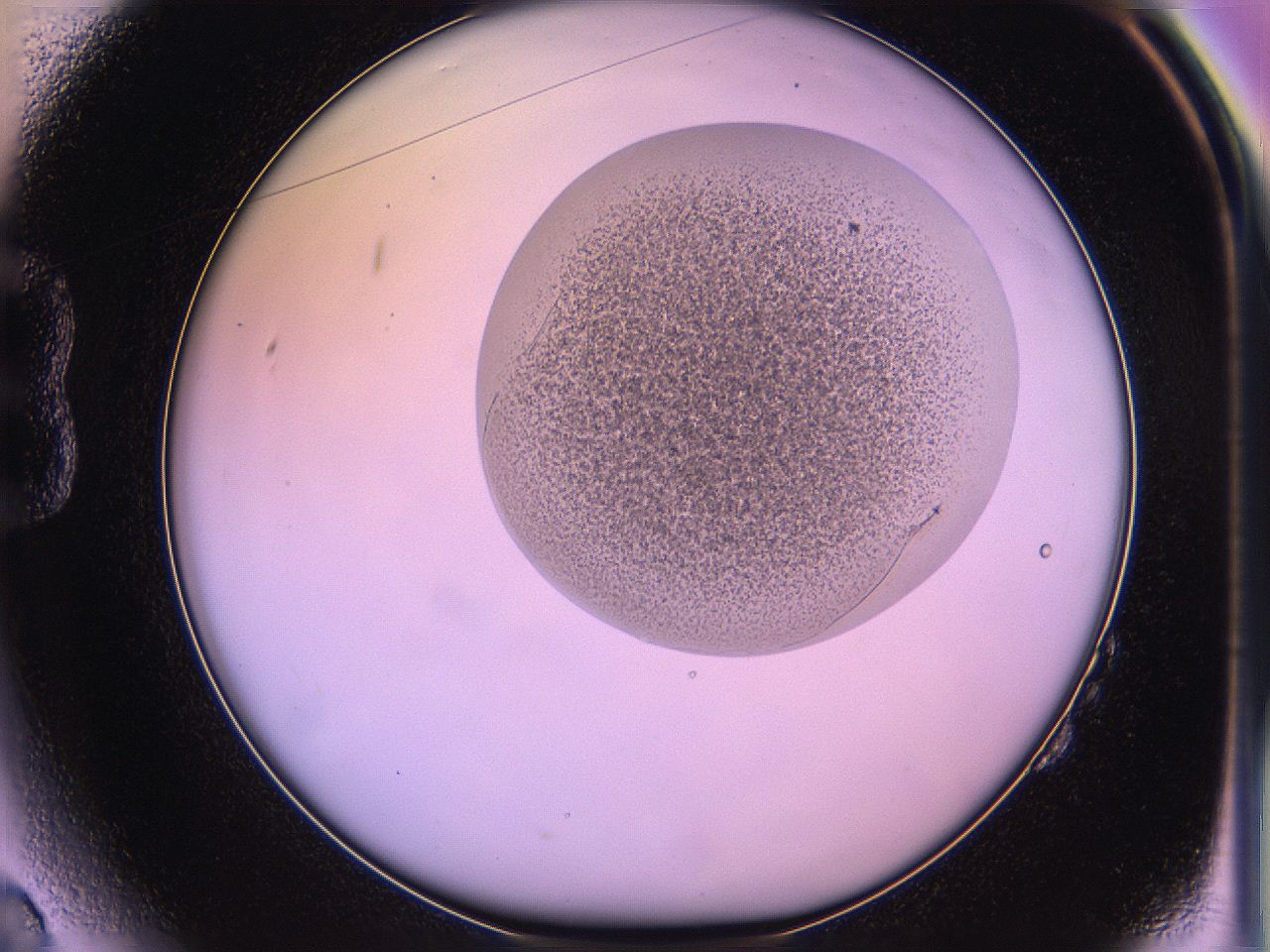 05qk_B2_ImagerDefaults_3.jpg
