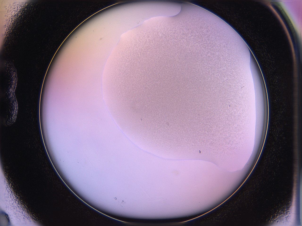 05qk_B3_ImagerDefaults_3.jpg