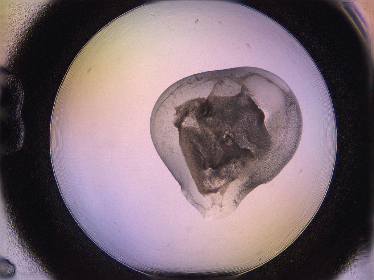 05qk_B6_ImagerDefaults_3.jpg